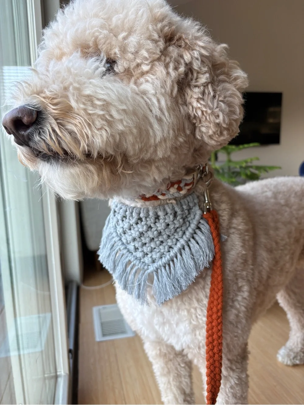 Handmade Gray Dog Bandana